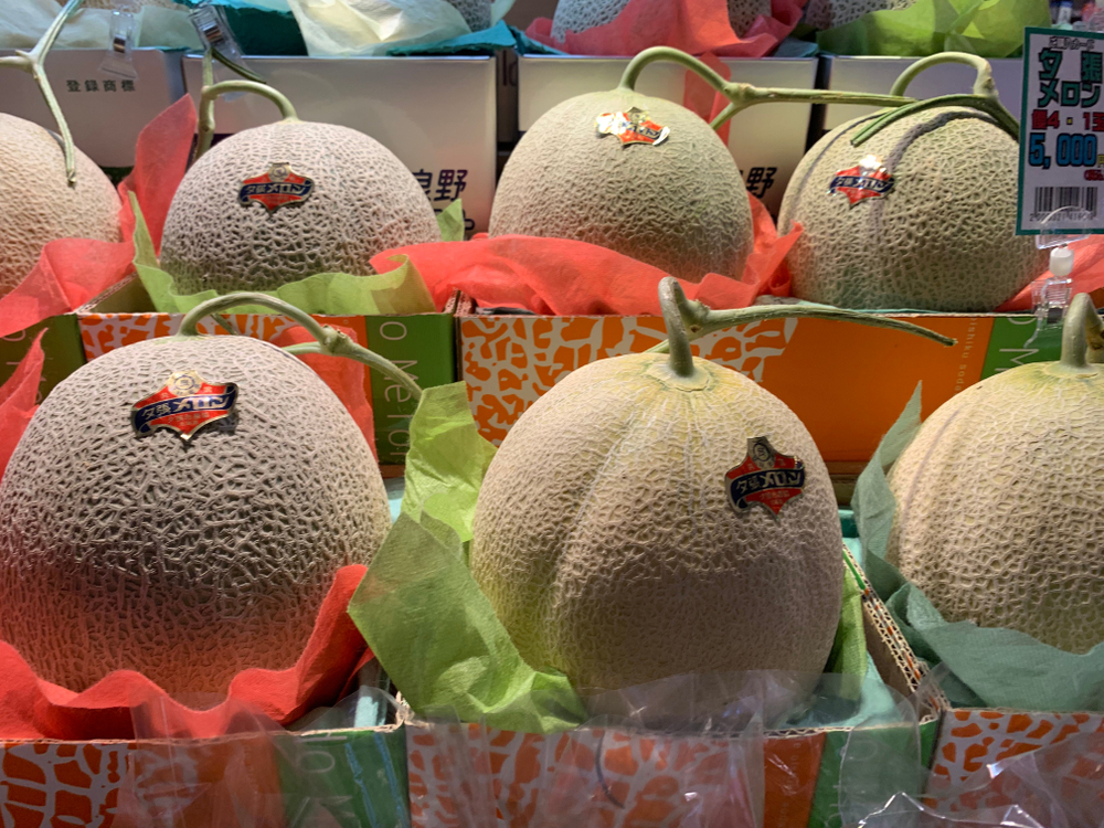 Why Are Yubari Melons So Expensive? - Fanatically Food