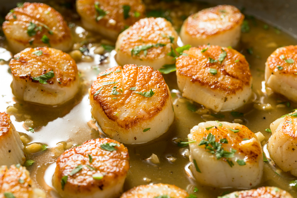 How Do You Know Scallops Are Bad? - Fanatically Food